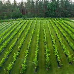 Warminska Winnica Country house