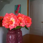 Country house Warminska Winnica *
