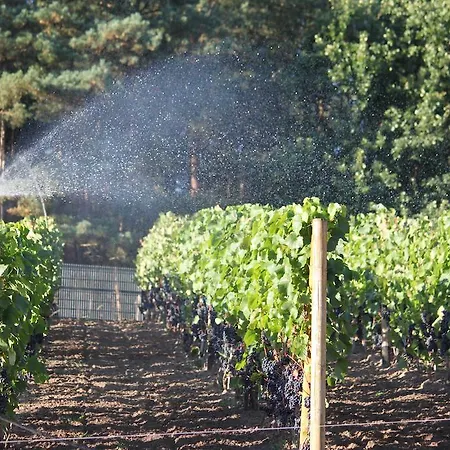 Warminska Winnica Country house