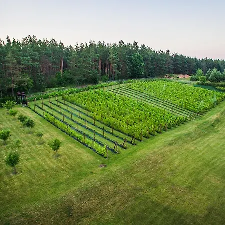 乡村民宿 沃敏斯卡葡萄园酒店