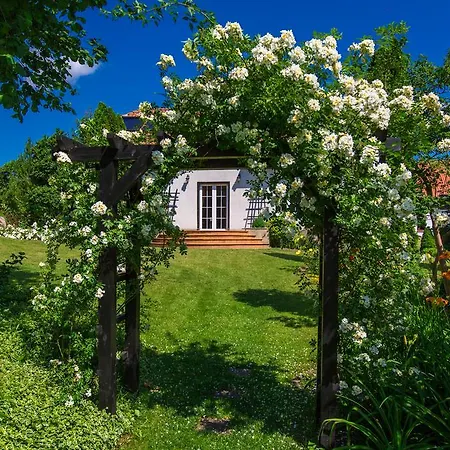 Warminska Winnica
