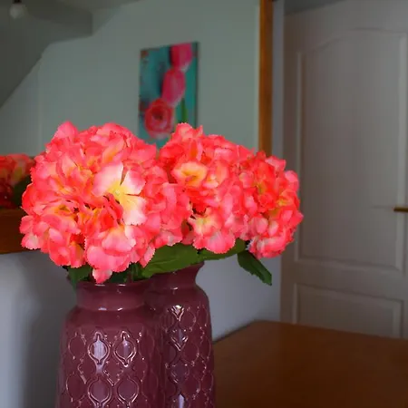 乡村民宿 沃敏斯卡葡萄园酒店 *