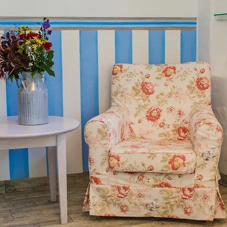 沃敏斯卡葡萄园酒店 *