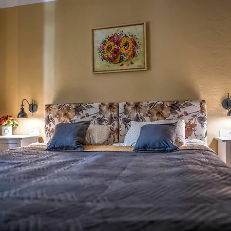 乡村民宿 沃敏斯卡葡萄园酒店 *