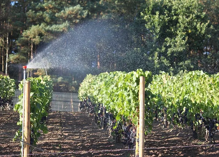 Warminska Winnica Casa rural