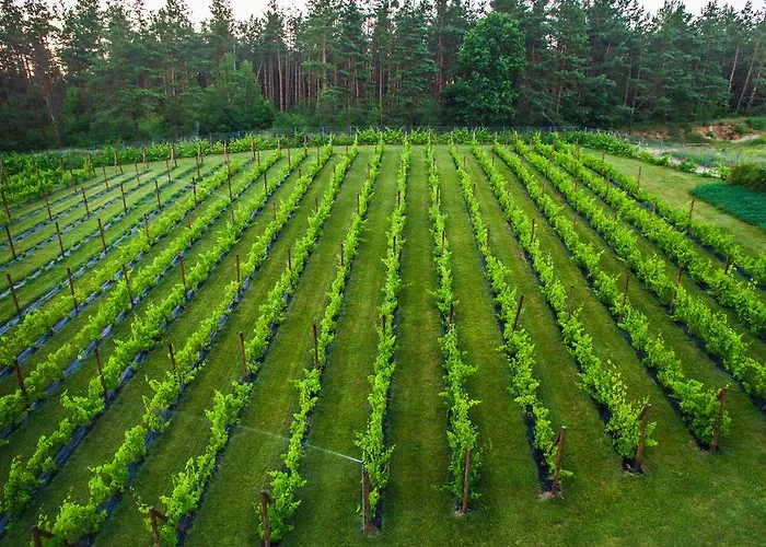 Warminska Winnica 컨트리하우스