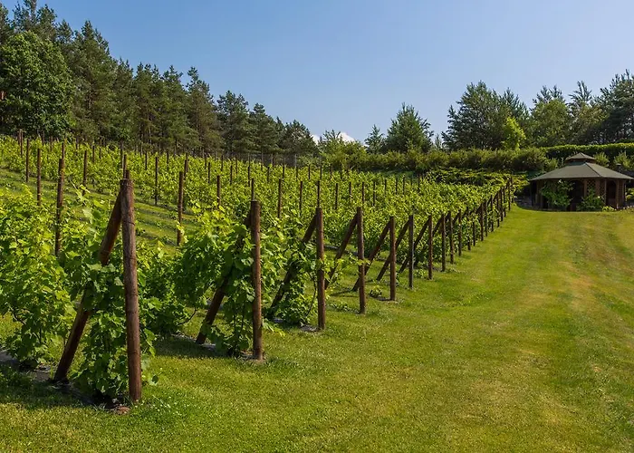 Lantställe Warminska Winnica *